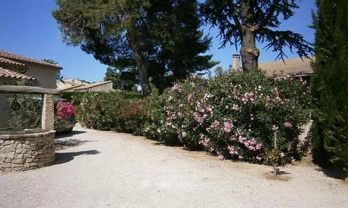 parking et terrain cloturé arboré