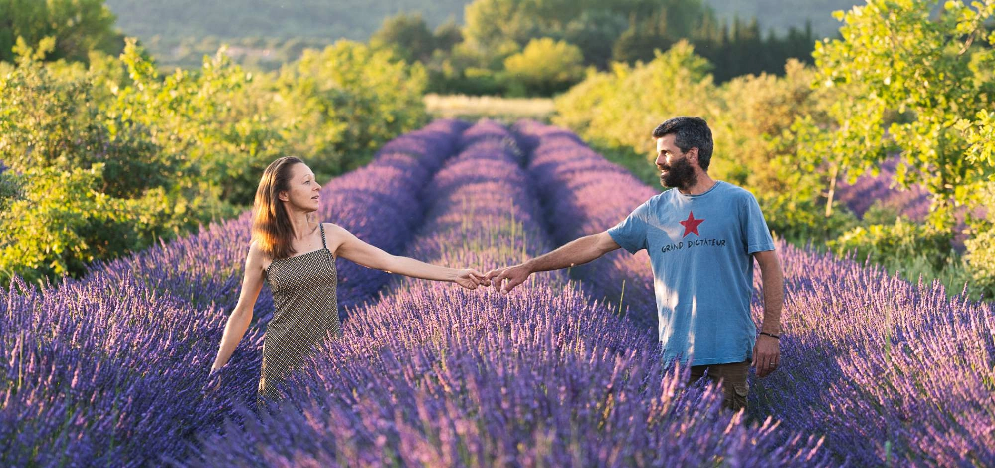 La Provence en bouteille