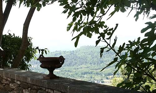 Jardins du Palais Saint-Firmin