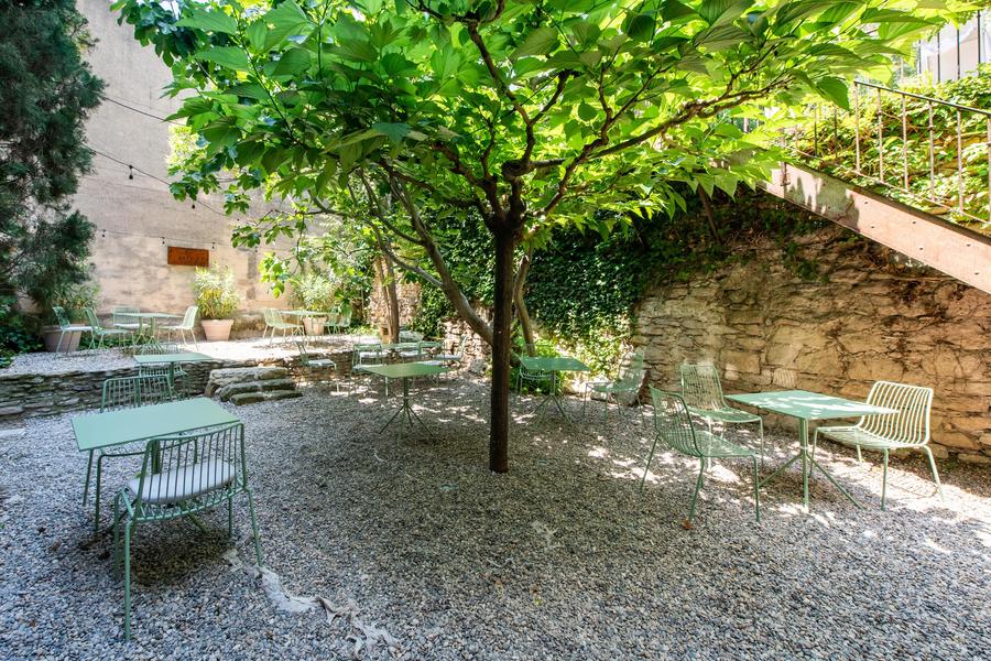 Schattiger Innenhof mit hundertjährigem Feigenbaum im Au Ralenti du Lierre in Les Beaumettes
