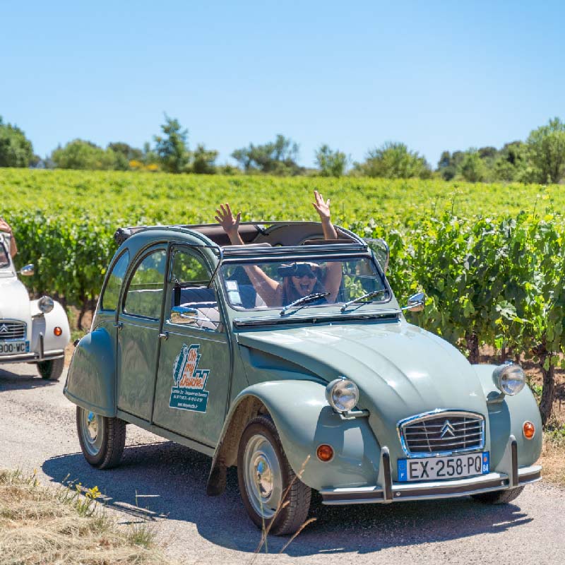 Fahrt in einer grünen Citroën 2CV mit Oh My Deuche durch die Weinberge des Luberon