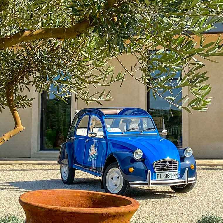 Blaue Citroën 2CV unter einem Olivenbaum in einer sonnigen provenzalischen Landschaft geparkt