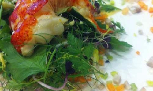 Homard juste saisie, salade d'herbes fraîches