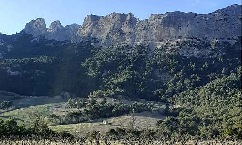 Dentelles de Montmirail