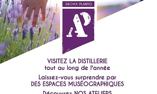 Distillerie Aroma'Plantes_Sault