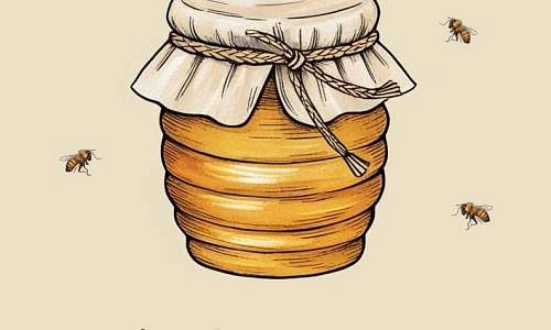 Camping à la ferme et miellerie