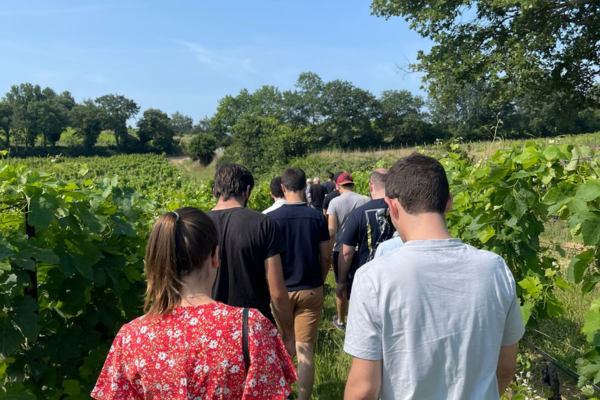 Geführte Tour durch die Weinberge des Domaine Le Novi im Herzen des Weinbaugebiets im Luberon