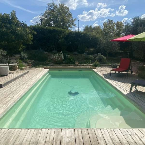 Glück unterm Olivenbaum****