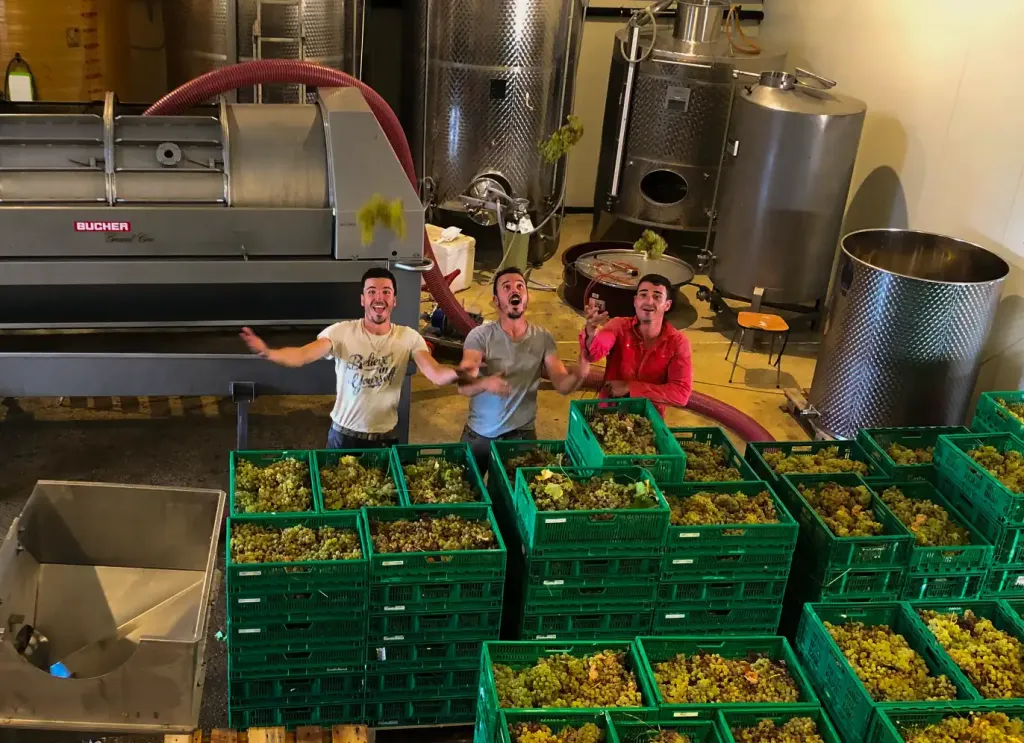 Die drei Brüder im Domaine du Coffre bei der Weinbereitung im Keller