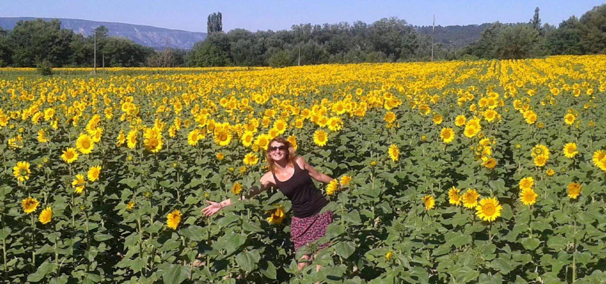 Provence Excursions – Rundfahrten, Privattouren & Transfers