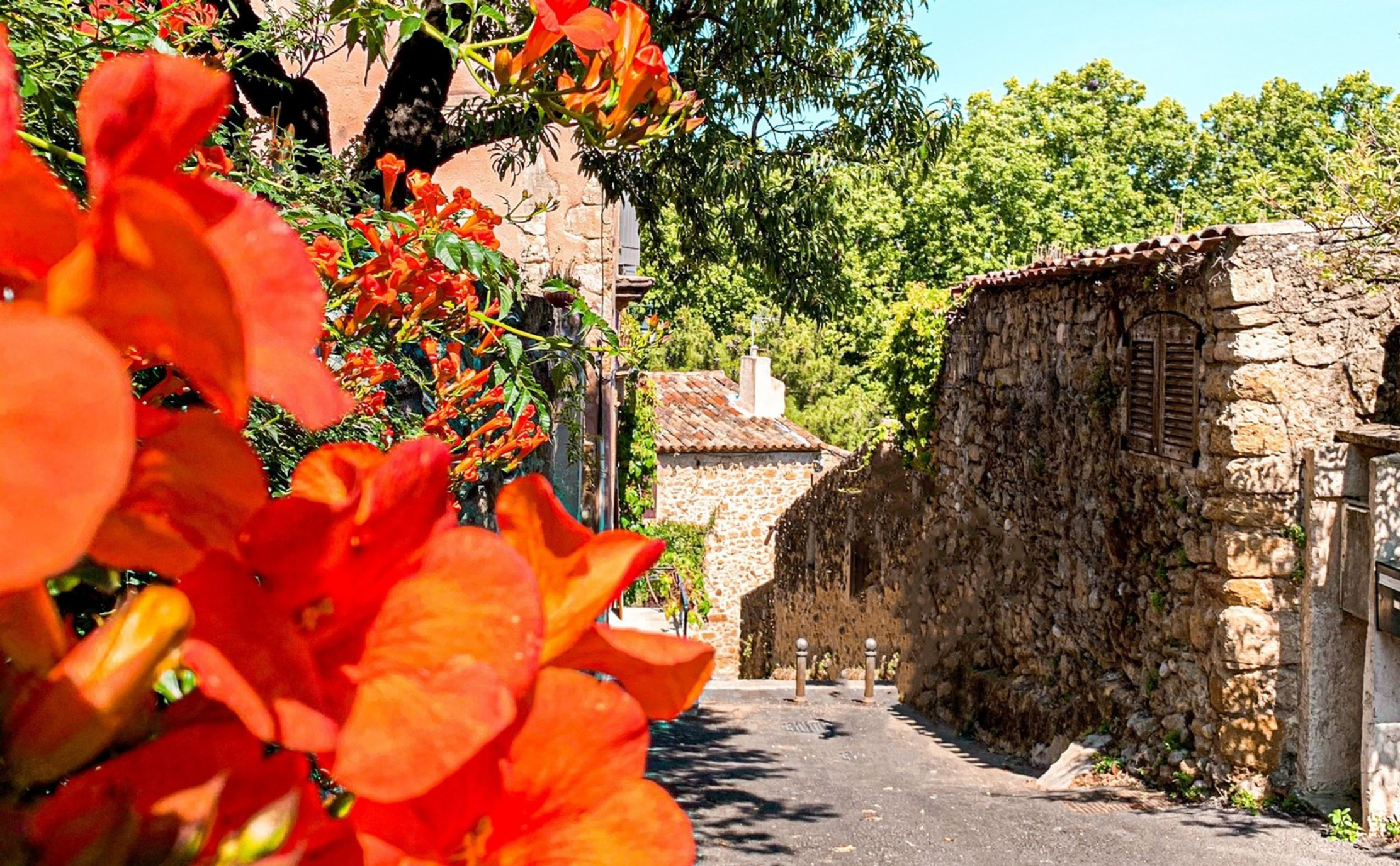 Orangene Blumen im Vordergrund einer Gasse in Vaugines