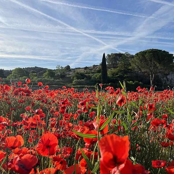 Que faire en famille pendant le week-end de l’Ascension ?