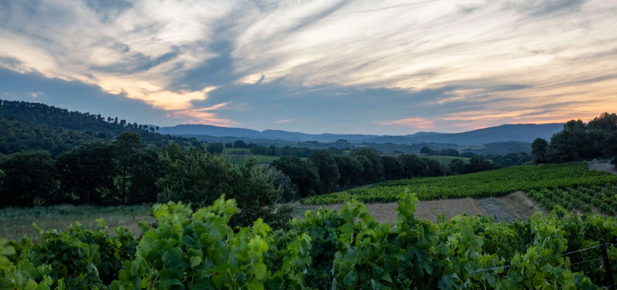 Sonnenuntergänge Vignerons 2026 auf der Domaine Le Novi