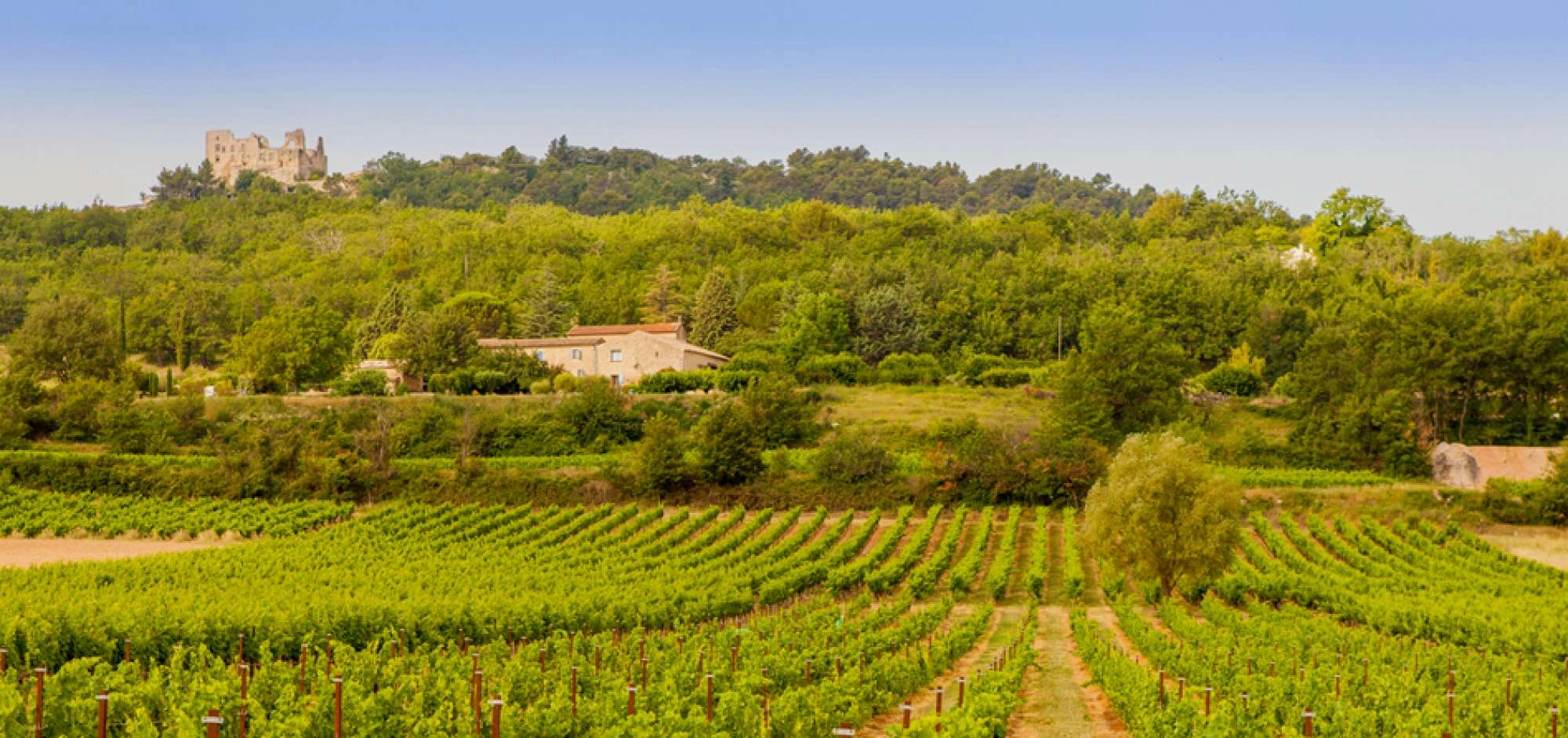 Sonnenuntergänge Vignerons 2026 in der Cave de Bonnieux