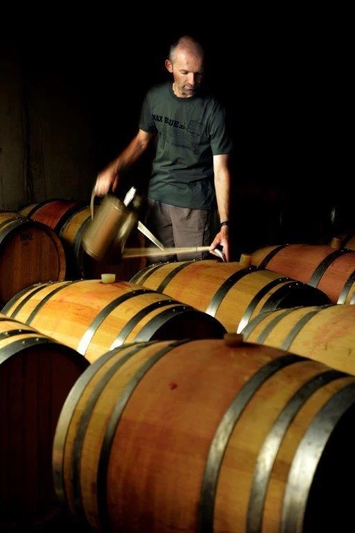 Weinberge der Domaine de la Verrière auf Goult dans le Luberon