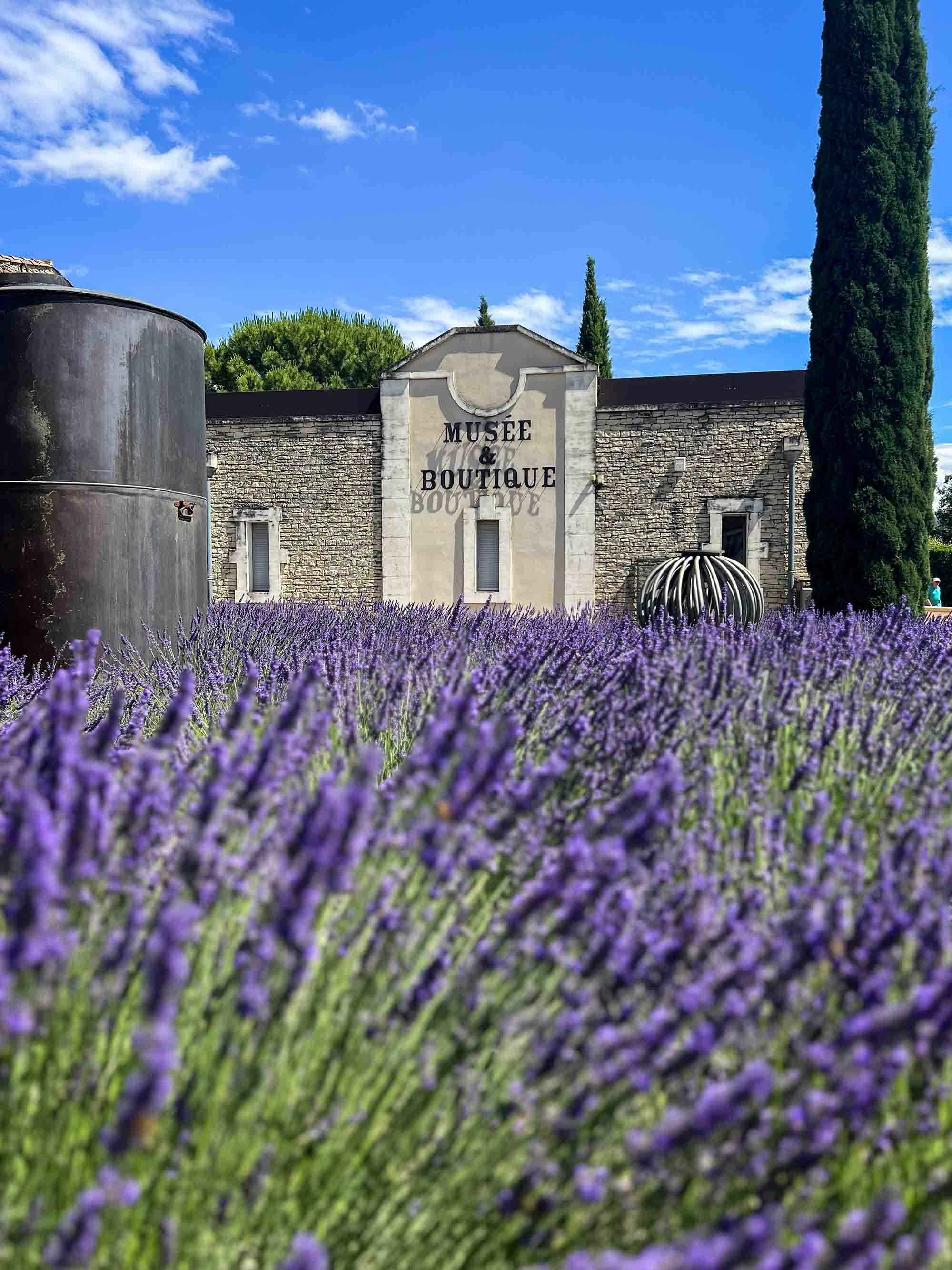 Steinfassade des Lavendelmuseums mit blühendem Feld am Eingang