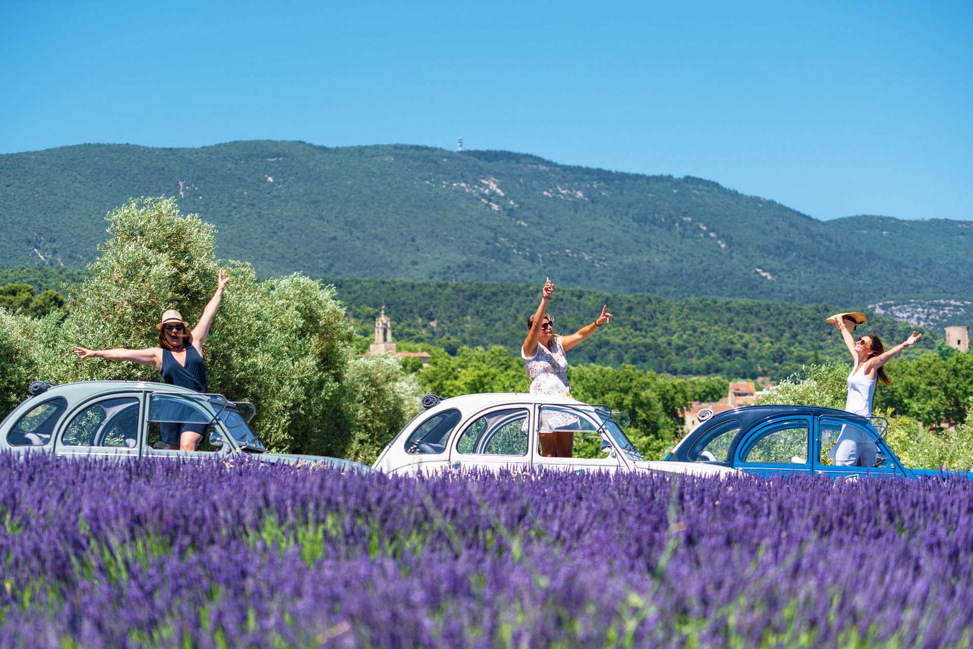 Drei junge Frauen in 2CV-Autos zwischen blühendem Lavendel