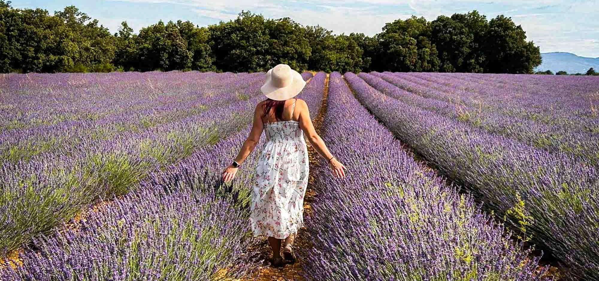 Lavendel im Luberon: Orte und Besichtigungen für eine andere Entdeckung
