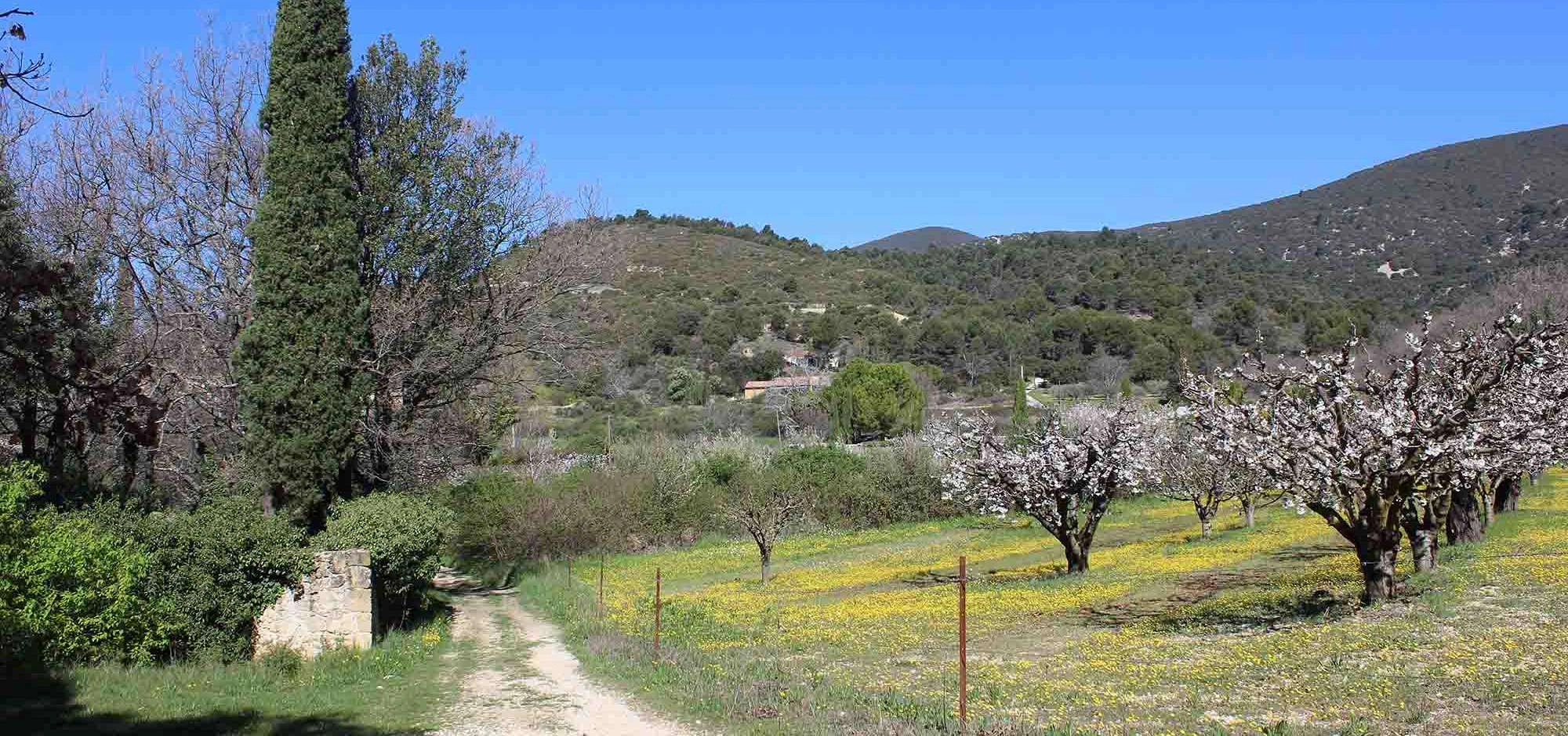 Ländlicher Spaziergang zwischen Vaugines und Cucuron