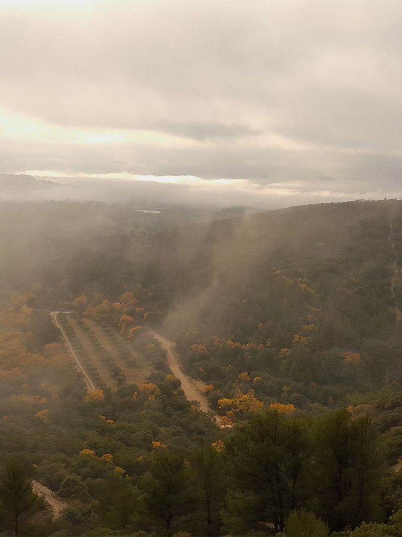Pfad im herbstlichen Nebel bei der Combe des Cavaliers
