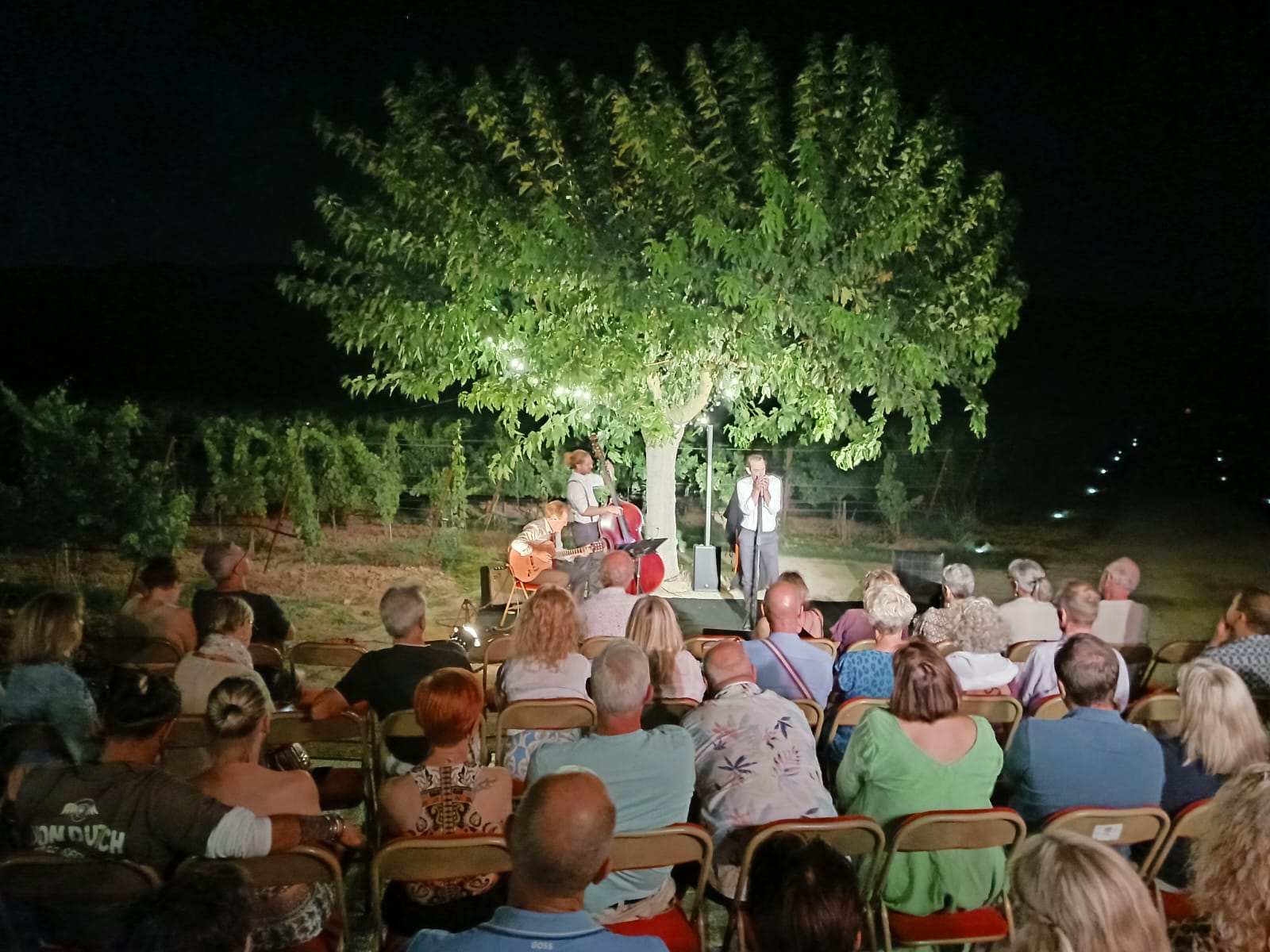 Musikalischer Picknickabend auf der Domaine La Garelle mit Blick auf den Luberon