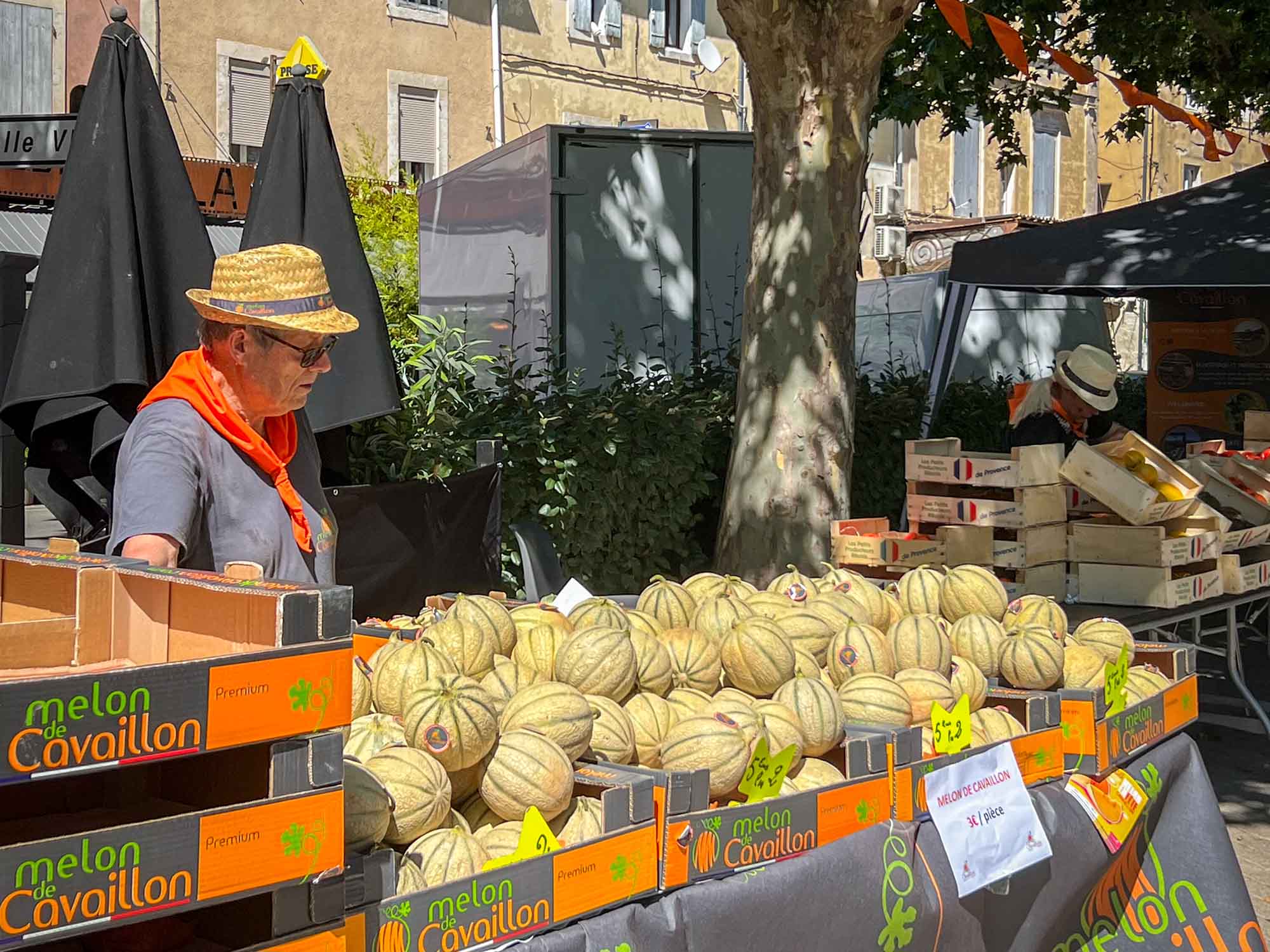 Markt mit Melonen und regionalen Produkten im Herzen von Cavaillon