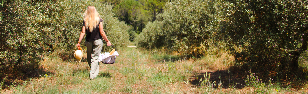 Ein genussvoller Moment zwischen Olivenbäumen im Luberon Picknick im Olivenhain der Bastide du Laval im Herzen des Luberon