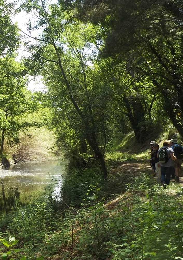 Gruppe wandert durch die Auenlandschaft entlang des alten Kanals in Mérindol