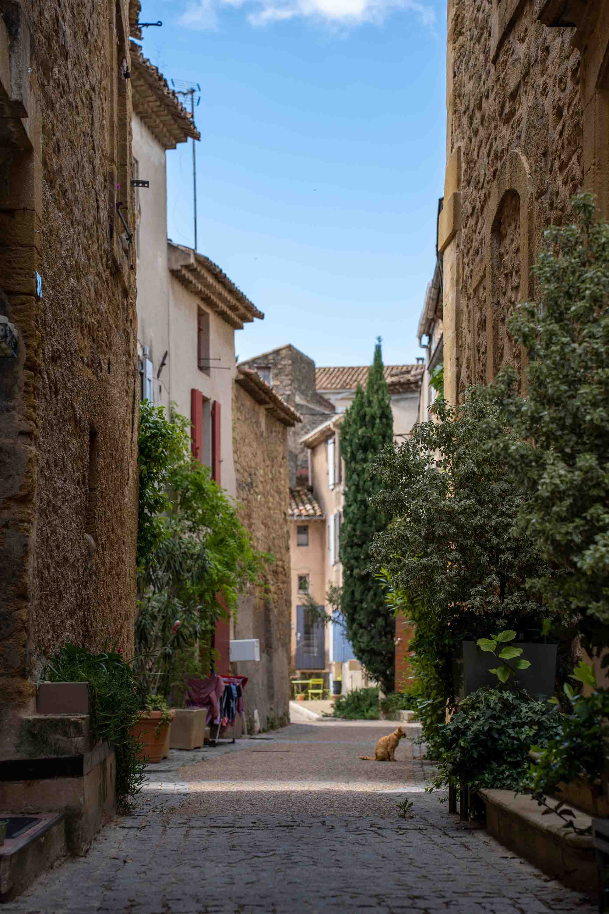 Geführte Tour durch die Zeit