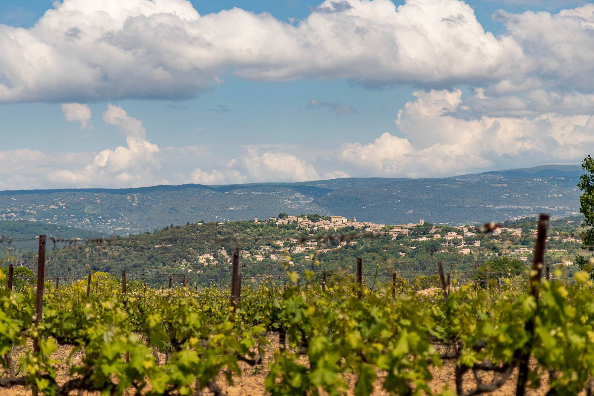 Panoramablick auf den Luberon von den Weinbergen des Weinguts Mas Edem, mit Goult und Roussillon in der Ferne
