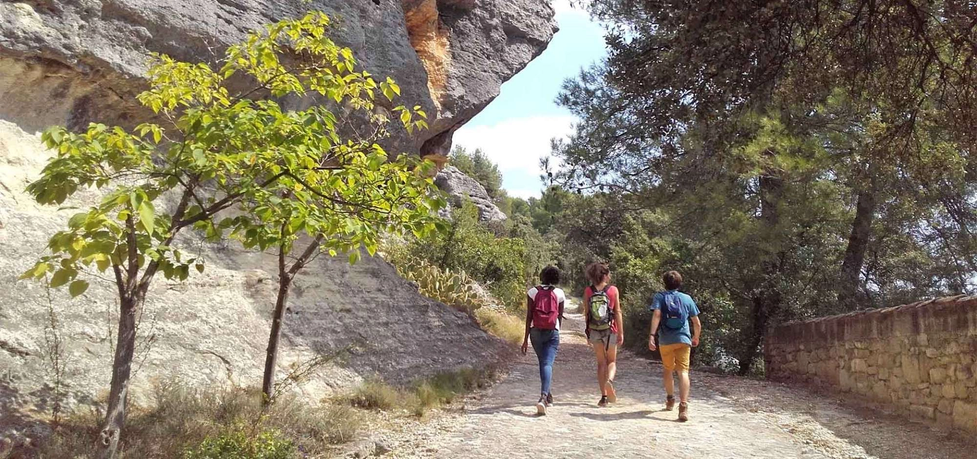 Garrigues-Spaziergang in Les Beaumettes - Leichte Rundtour