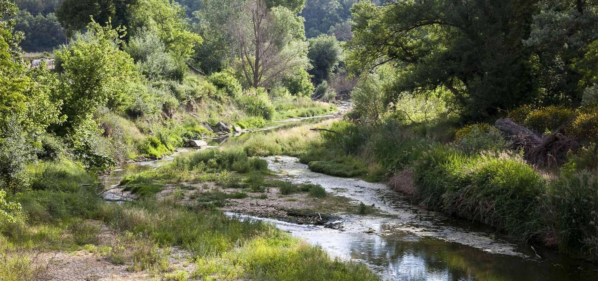 LES BEAUMETTES - Pfad La Virginière am Fluss Calavon