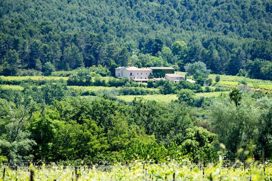 Château Saint Pons im Herzen der Weinberge des Luberon Luftaufnahme des Château Saint Pons, umgeben von Weinbergen und Wäldern im Luberon
