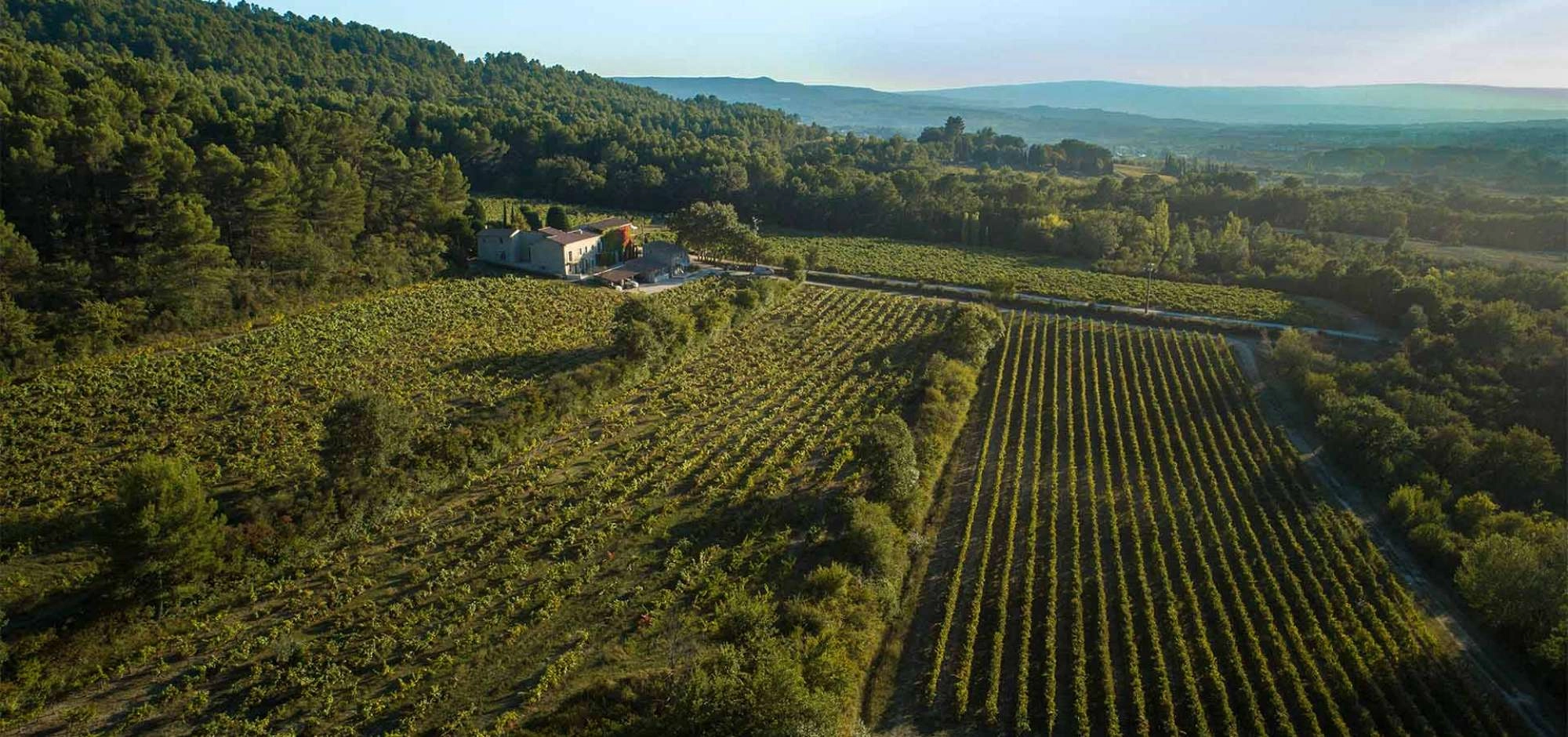 Château Saint Pons