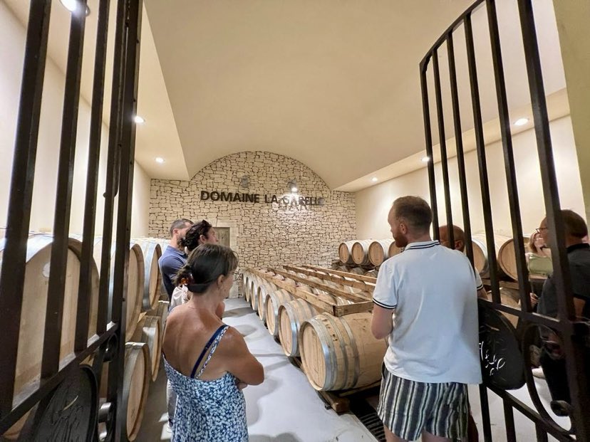 Erlebnis beim Winzer: Kellerbesichtigung und Eintauchen in die Welt des Weins Kellerbesichtigung und Entdeckung des Weinbereitungsprozesses bei einem weintouristischen Erlebnis auf einem Weingut