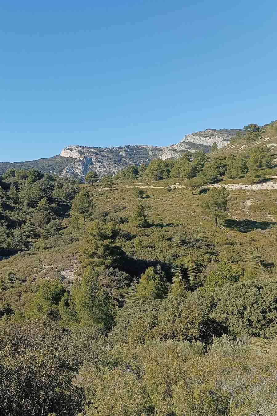 Offene Landschaften, Garrigue und Trockenrasen auf den Höhen der Mayorques im Petit Luberon