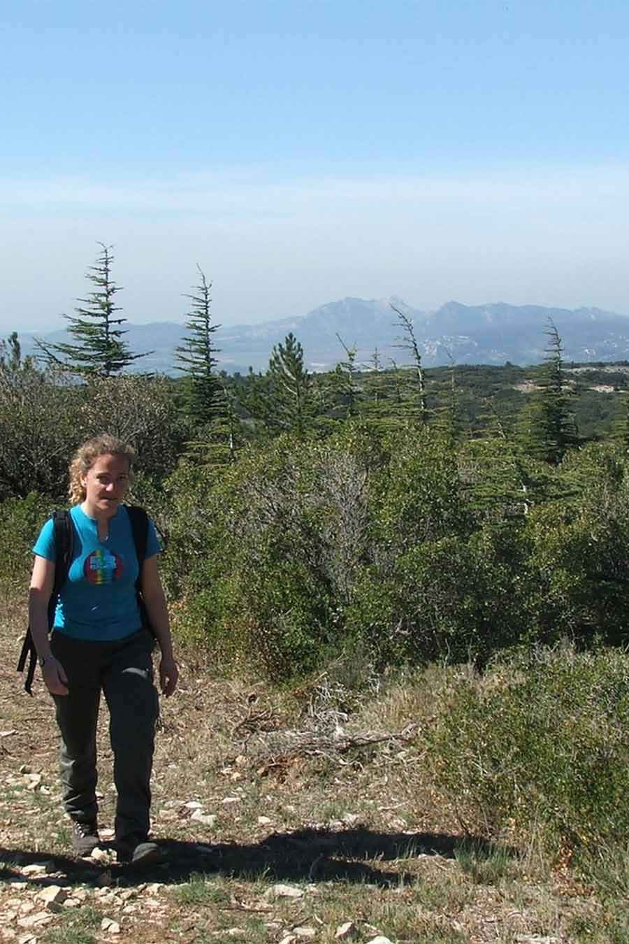 Wanderin auf den Höhen des Petit Luberon nahe La Roquette in Cheval-Blanc