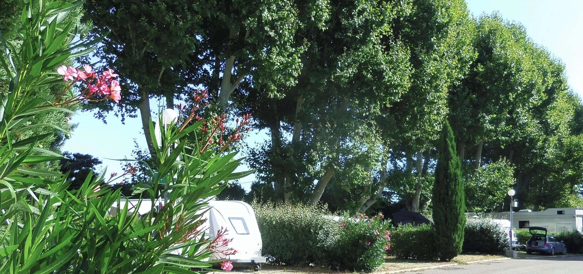 Camping Intercommunal de la Durance***