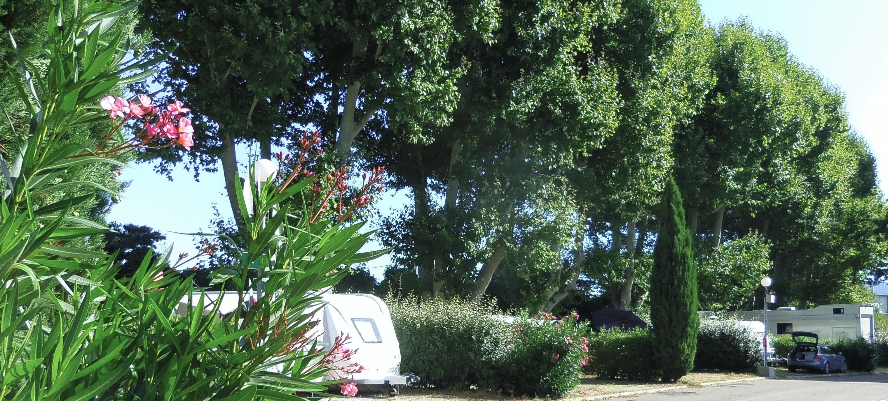 Schattige Stellplätze für Wohnwagen auf dem interkommunalen Campingplatz La Durance in Cavaillon