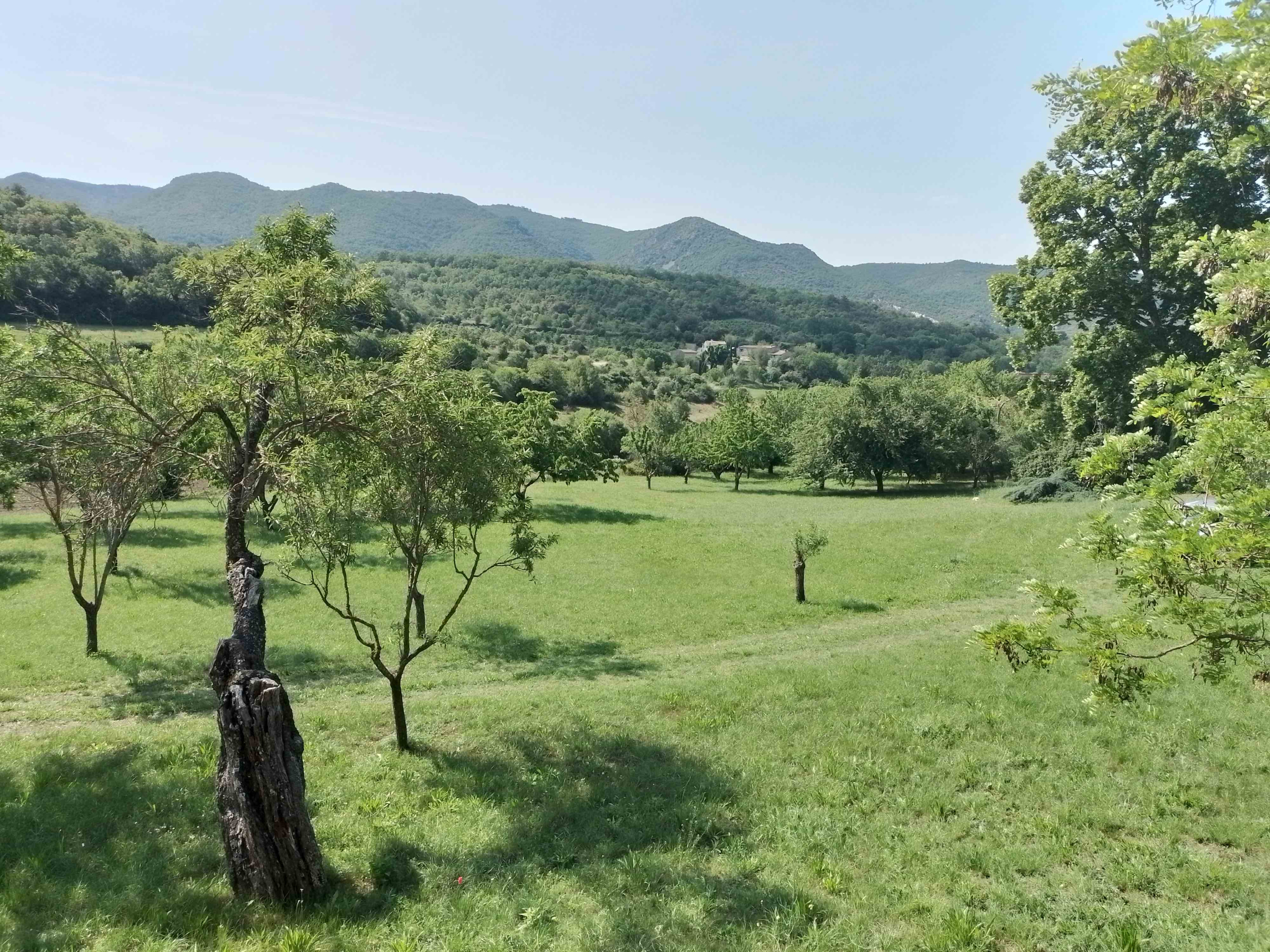 Grüne Landschaften des Luberon, natürliche Kulisse für Spaziergänge und Wanderungen