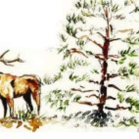 Immersions, fünf Jahre auf dem Ventoux - Fotoausstellung