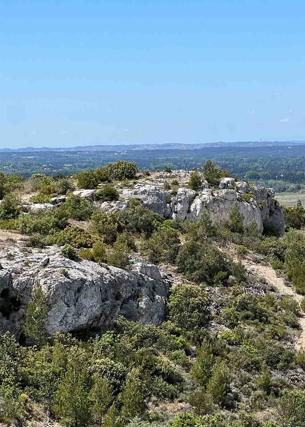 Naturlandschaft auf dem Hügel Saint-Jacques in Cavaillon mit Garrigue und Felsen