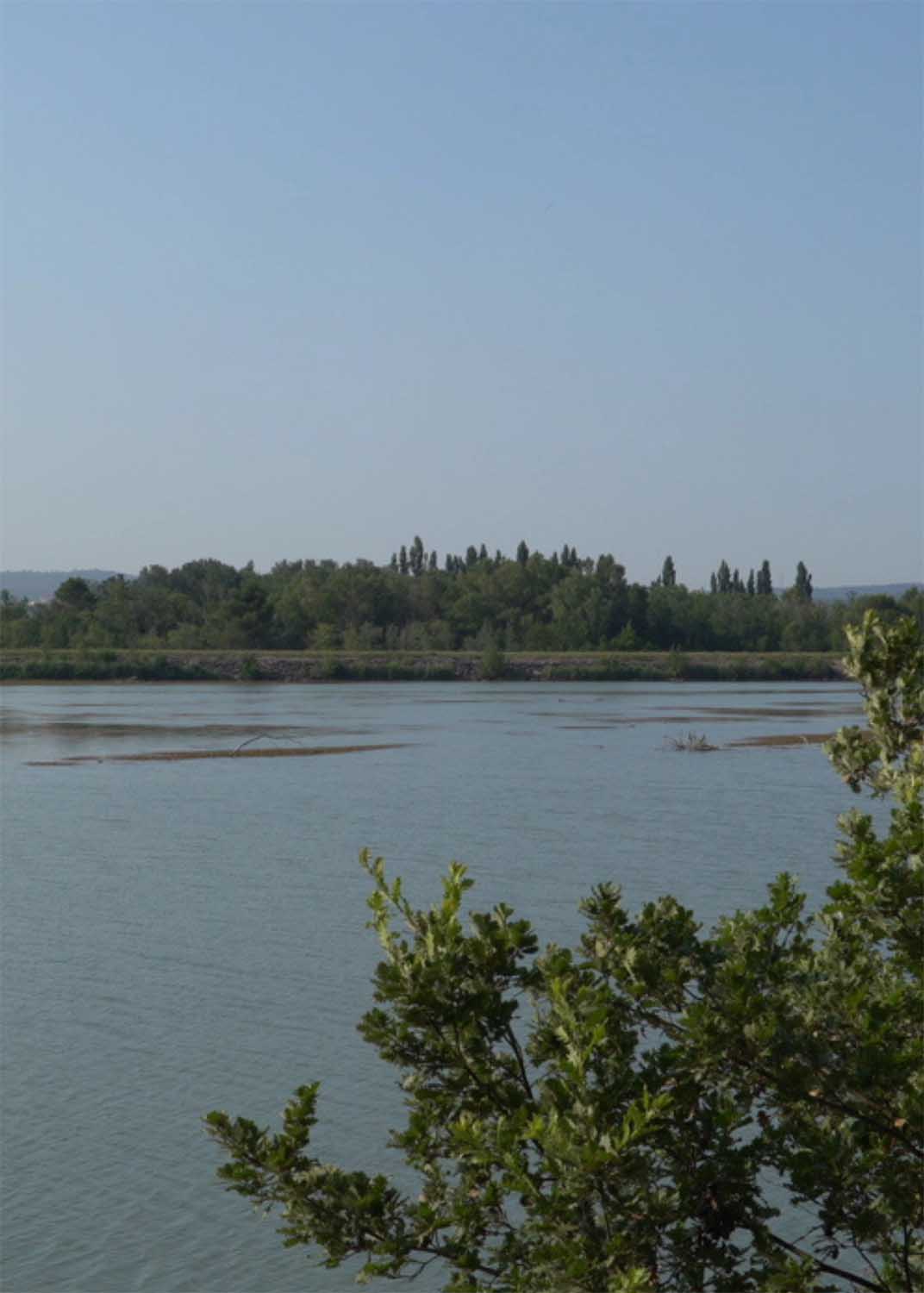 Naturlandschaft der Durance bei Mérindol, ideal zur Beobachtung der Tierwelt