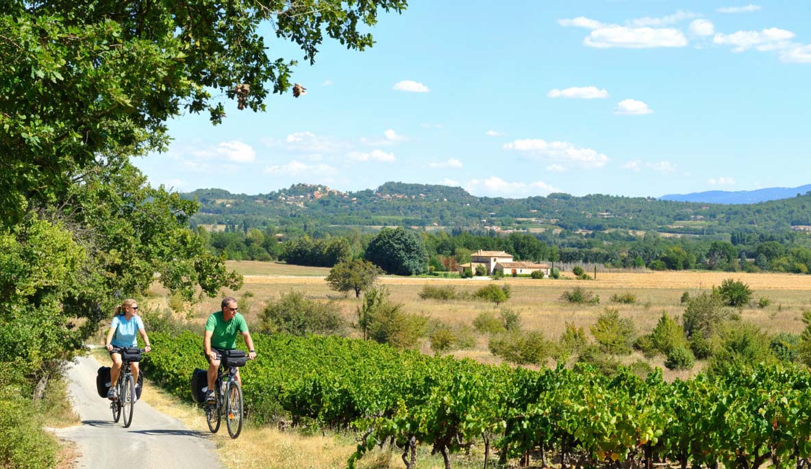 Radtour im Luberon durch Weinberge und provenzalische Landschaften