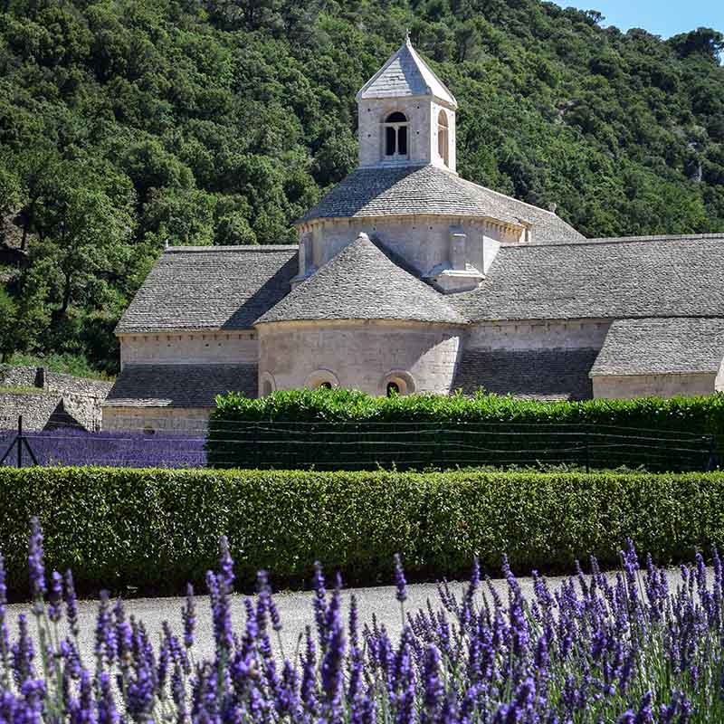 Abtei Sénanque im Tal der Sénancole, Chor der Abteikirche aus Kalkstein, umgeben von Lavendinfeldern