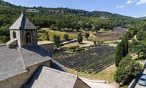 Abbaye-de-senanque-©Filmatik Production.jpg