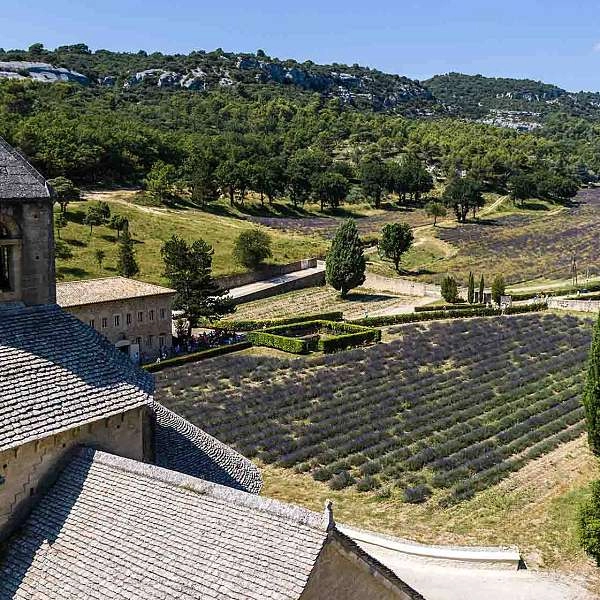 Die Abtei Sénanque Schritt für Schritt entdecken