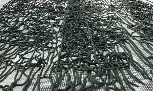 La spiruline avant séchage