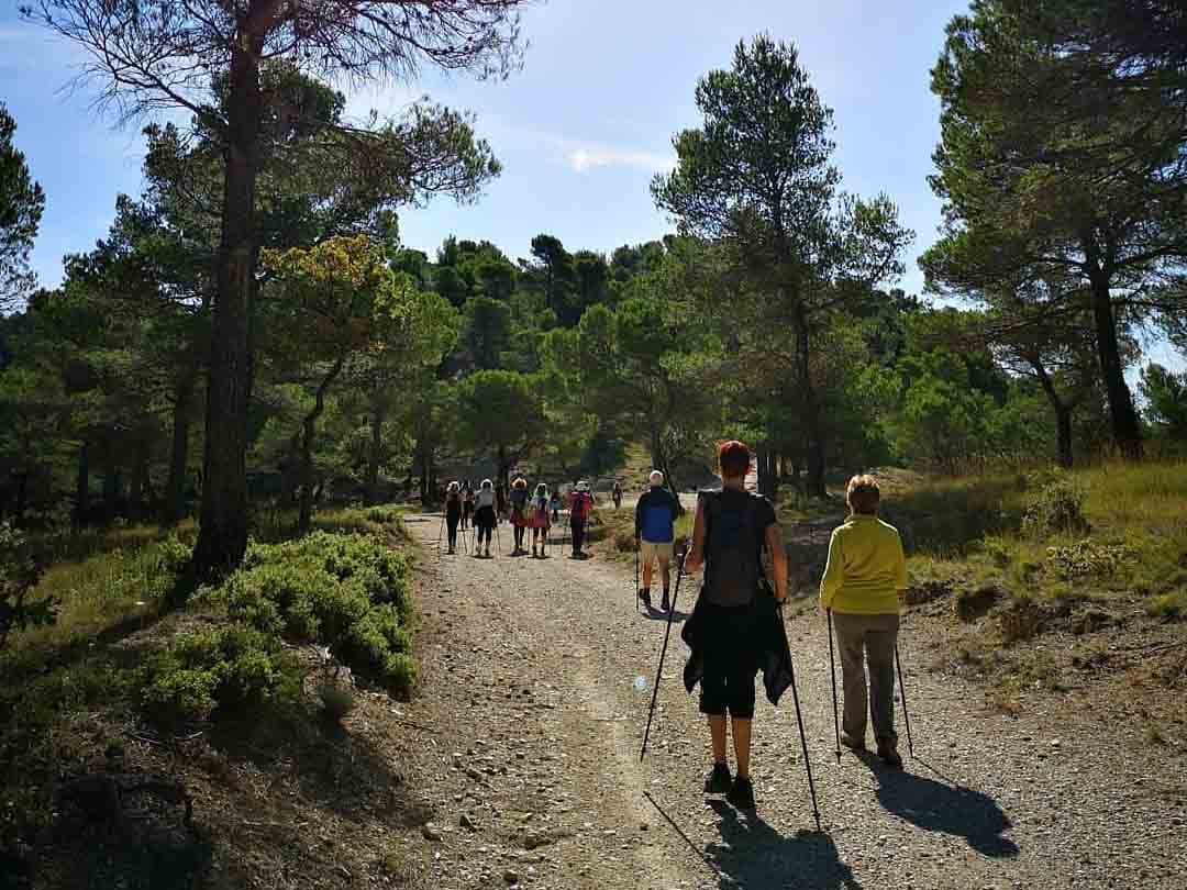 Nordic-Walking-Gruppe auf einem Waldweg im Luberon
