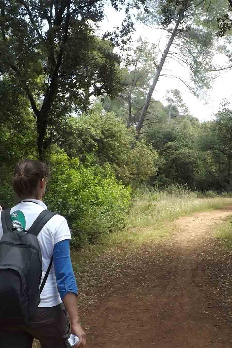 Wanderer auf einem Waldweg in der Garrigue bei Mérindol